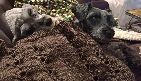Paws Around My Neck (Cowl) Knitting Pattern
